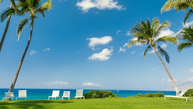 K1公司：室内健身引体向上16个