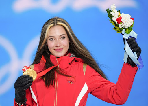 从废土到绿洲！庭院别墅草坪绿化工程一步到位！